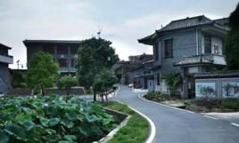 金山村[湖南省郴州市汝城縣土橋鎮下轄村]