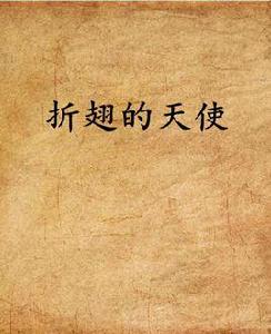 折翅的天使 折翅的天使