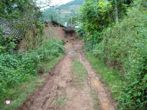 楊家窩自然村 楊家窩自然村