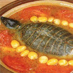 番茄白果燉甲魚