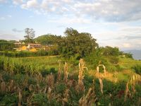 石板自然村 石板自然村