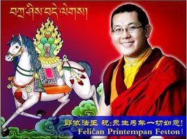 郎依法王嘎讓羅周堅措活佛 郎依法王嘎讓羅周堅措活佛