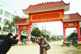 石寨村[湖北省武漢市新洲區石寨村]