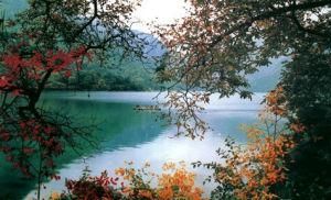 漳縣貴清山 漳縣貴清山