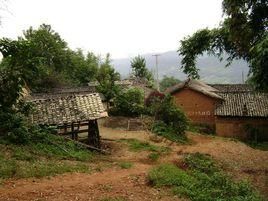 白路頭村 白路頭村