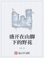 盛開在山腳下的野花 盛開在山腳下的野花