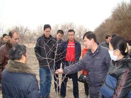 郭勒布依鄉 郭勒布依鄉