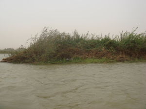 索科托河 索科托河