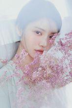 徐冬冬唯美寫真