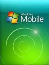 wm[WWE的年度四大PPV主賽之一]