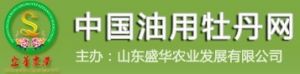 中國油用牡丹網 中國油用牡丹網