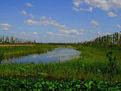 蓮花湖國家濕地公園