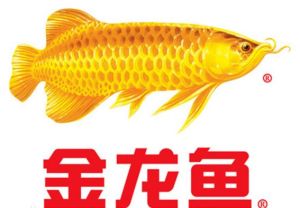金龍魚油 金龍魚油