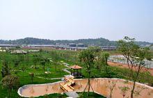 高標準生豬養殖場