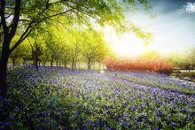 大連外景婚紗攝影 星海岸外景基地