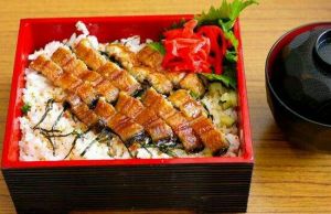 鰻魚蓋飯 鰻魚蓋飯