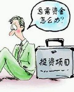 有限追索權項目融資 有限追索權項目融資