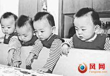 南京四小鳳昨日滿12周歲