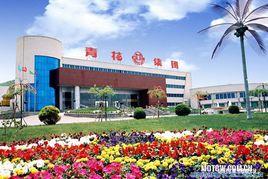 青花集團 青花集團