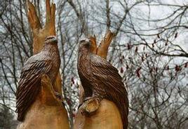 千頭木奴 千頭木奴