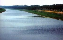 漳衛新河 漳衛新河