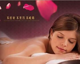 物理美胸 物理美胸