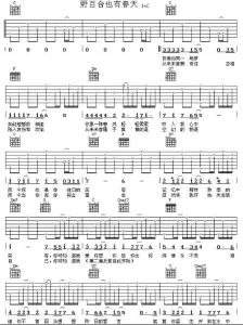《野百合也有春天》曲譜