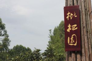 三聖鄉枇杷園 三聖鄉枇杷園
