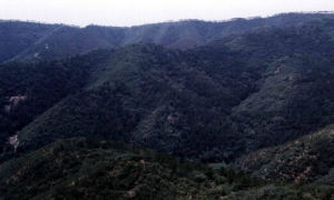 大黑山自然保護區 大黑山自然保護區