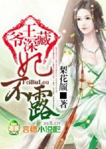 王爺深藏,妃不露 王爺深藏,妃不露