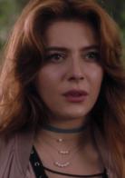 天賦異稟[FOX電視台美劇]