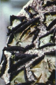 天柱山石耳 天柱山石耳