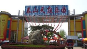 泰山天庭遊樂園