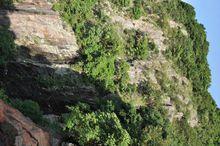 銀瓶山森林公園 清溪黃茅田景區