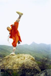 少林寺俗家弟子大師父李連河