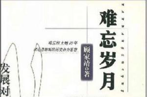 難忘歲月[小說]