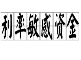 利率敏感資金 利率敏感資金