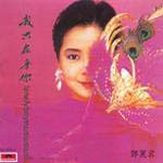 《象故事般溫柔》 《象故事般溫柔》