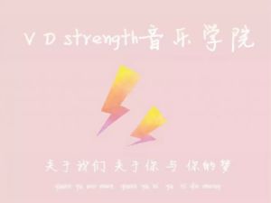 VDstrength音樂家族 VDstrength音樂家族