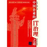 《中國企業的IT治理之道》