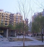 慧谷星園 慧谷星園