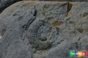 古印第安飛機模型