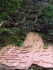 慧根[佛教術語]