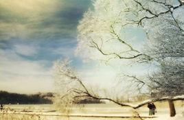 弄權一時,淒涼萬古 弄權一時,淒涼萬古