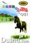 自由奔跑的小野馬