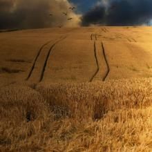 漫無邊際 漫無邊際