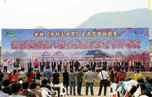 岱崮桃花節 岱崮桃花節