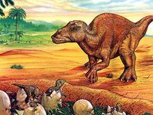 會孵蛋的慈母龍