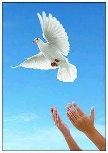 外交政策[一國進行外交活動的基本原則和行動方針]