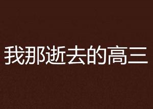 我那逝去的高三